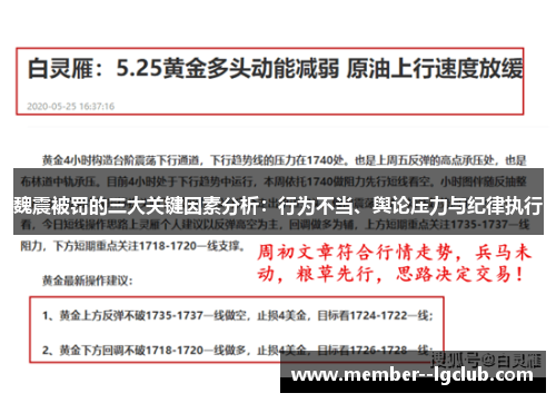 魏震被罚的三大关键因素分析:行为不当、舆论压力与纪律执行 魏震被罚的三大关键因素分析:行为不当、舆论压力与纪律执行