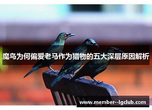 魔鸟为何偏爱老马作为猎物的五大深层原因解析 魔鸟为何偏爱老马作为猎物的五大深层原因解析